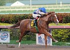 Lea Aims to Win Second Straight Hal's Hope Lea Aims to Win Second Straight Hal's Hope