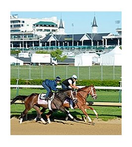 Got Lucky and My Miss Sophia worked at Churchill Downs on April 26, 2014. <br><a target="blank"http://photos.bloodhorse.com/TripleCrown/2014-Triple-Crown/Kentucky-Derby-Workouts/i-wWSZzjq">Order This Photo</a>