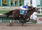 Intense Holiday gets up late to win the Risen Star Stakes.<br><a target="blank" href="http://photos.bloodhorse.com/AtTheRaces-1/At-the-Races-2014/35724761_2vdnSX#!i=3088523245&k=S3V5xzq">Order This Photo</a>
