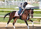 Unbridled Forever finished 2nd in the Coaching Club American Oaks.