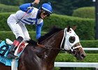Grade I Winner Strong Mandate Retired Grade I Winner Strong Mandate Retired