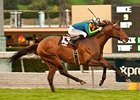 Suggestive Boy won the 2013 Arcadia.