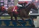 Queen's Plate winner Midnight Aria is one of the finalists in the 3-Year-Old Male category.