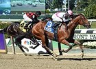 Vyjack Ends Stakes Drought in Kelso Victory Vyjack Ends Stakes Drought in Kelso Victory