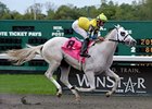 Hansen<br><a target="blank" href="http://www.bloodhorse.com/horse-racing/photo-store?ref=http%3A%2F%2Fpictopia.com%2Fperl%2Fgal%3Fprovider_id%3D368%26ptp_photo_id%3D9679200%26ref%3Dstory">Order This Photo</a>