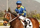 Stormy Lucy running in the Santa Ana Stakes.