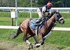 Wicked Strong
<br><a target="blank" href="http://photos.bloodhorse.com/AtTheRaces-1/At-the-Races-2014/i-WjL26tS">Order This Photo</a>