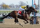 Empire Dreams is the 7-5 morning line favorite in the New York Derby.<br><a target="blank" href="http://photos.bloodhorse.com/AtTheRaces-1/at-the-races-2013/27257665_QgCqdh#!i=2926222796&k=fDHxqsH">Order This Photo</a>