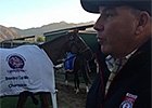 Breeders' Cup: Charlie LoPresti on Wise Dan Breeders' Cup: Charlie LoPresti on Wise Dan