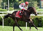 Startup Nation won the 2014 With Anticipation Stakes.