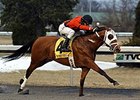 Harry's Holiday won the 96ROCK Stakes by 8 lengths on February 1.