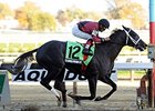 Haskin: New King of the Derby Trail Haskin: New King of the Derby Trail