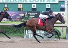 Among the Coteau Grove horses in the sale is stakes winner Afternoon Tango, who won the 2014 Louisiana Cup Filly and Mare Sprint Stakes.