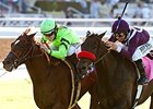 Home Run Kitten (left) gets up late to win the Eddie D. over Ambitious Brew.