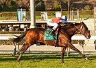 Winning Prize bounds home to win the Arcadia Stakes.