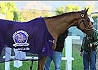 BC: Wise Dan - Reigning Horse of the Year BC: Wise Dan - Reigning Horse of the Year