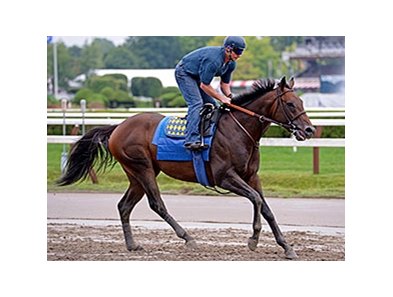 Bayern at Saratoga on August 22.<br><a target="blank" href="http://photos.bloodhorse.com/AtTheRaces-1/At-the-Races-2014/i-CBHBTKV">Order This Photo</a>