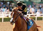 Judy the Beauty Poised for Top Madison Effort Judy the Beauty Poised for Top Madison Effort