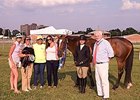 My Fantastic Lady was crowned the overall champion at the third Totally Thoroughbred Horse Show.