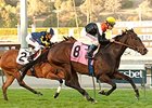 Pontchatrain wins the Monrovia Stakes.