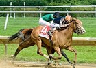 Gamay Noir flies late to win the Obeah Stakes at Delaware Park.