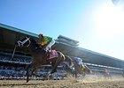 Palace Malice
<br><a target="blank" href="http://photos.bloodhorse.com/AtTheRaces-1/At-the-Races-2014/i-kq6Bfxw">Order This Photo</a>