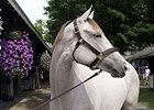 Fasig-Tipton Saratoga Notebook, Night One Fasig-Tipton Saratoga Notebook, Night One