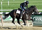 Honor Code<br><a target="blank" href="http://photos.bloodhorse.com/AtTheRaces-1/at-the-races-2013/27257665_QgCqdh#!i=2930767951&k=7PCtDhj">Order This Photo</a>