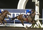Barbecue Eddie Breaks Through at Meydan Barbecue Eddie Breaks Through at Meydan