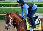 Danza <br><a target="blank"http://photos.bloodhorse.com/TripleCrown/2014-Triple-Crown/Kentucky-Derby-Workouts/i-4X5djnQ">Order This Photo</a>