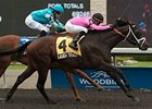 Laugh Track has four victories from six starts on Polytrack.
