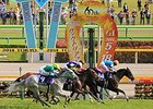Verxina wins the Victoria Mile.
<br><a target="blank" href="http://photos.bloodhorse.com/AtTheRaces-1/At-the-Races-2014/i-FrzD225">Order This Photo</a>