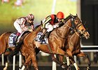 Gentildonna Wins Dramatic Sheema Classic Gentildonna Wins Dramatic Sheema Classic