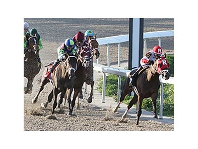 Vicar's in Trouble cruised to victory in the Louisiana Derby.