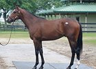 Hip #514, a colt by Tapit, brought $725,000 to top the second session of the Ocala Breeders' Sales Co.'s spring sale of 2-year-olds in training April 22.