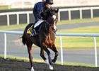 Wigmore Hall
<br><a target="blank" href="http://photos.bloodhorse.com/AtTheRaces-1/At-the-races-2013/i-tZG6B74">Order This Photo</a>