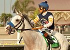 Grade I-Winning Mare Egg Drop Retires Grade I-Winning Mare Egg Drop Retires