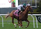 Five Iron upsets the Fort Marcy Stakes at Belmont Park.
<br><a target="blank" href="http://photos.bloodhorse.com/AtTheRaces-1/At-the-Races-2014/i-HC8mLDJ">Order This Photo</a>