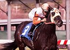 Ben's Cat wins the Mister Diz Stakes for 5th time in a row.