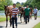 Keeneland September Sale Set to Test Market Keeneland September Sale Set to Test Market