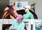 Niall Brennan Stables at the OBS March Sale.