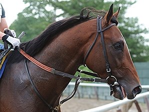 Tonalist Tunes Up for Jim Dandy at Belmont Tonalist Tunes Up for Jim Dandy at Belmont