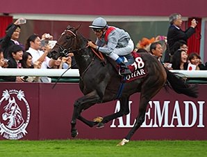 Treve, Cirrus des Aigles Meet in Prix Ganay Treve, Cirrus des Aigles Meet in Prix Ganay