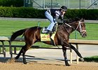 Starlight, Skychai Racing Buy General a Rod Starlight, Skychai Racing Buy General a Rod