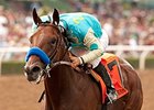 American Pharoah Drills for BC Juvenile American Pharoah Drills for BC Juvenile