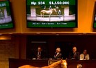Hip 104 by Giant's Causeway was the Barretts March sale topper.