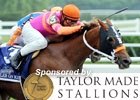 2011 Belmont Stakes Wrap 2011 Belmont Stakes Wrap
