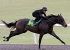 Expectations High for OBS 2-Year-Old Sale Expectations High for OBS 2-Year-Old Sale
