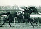 Dr. Fager
