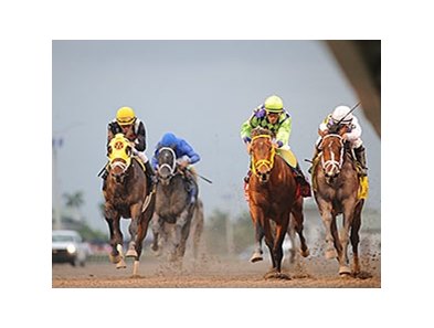 The Florida Derby
<br><a target="blank" href="http://photos.bloodhorse.com/AtTheRaces-1/At-the-Races-2014/35724761_2vdnSX#!i=3149371865&k=3gZJXHm">Order This Photo</a>